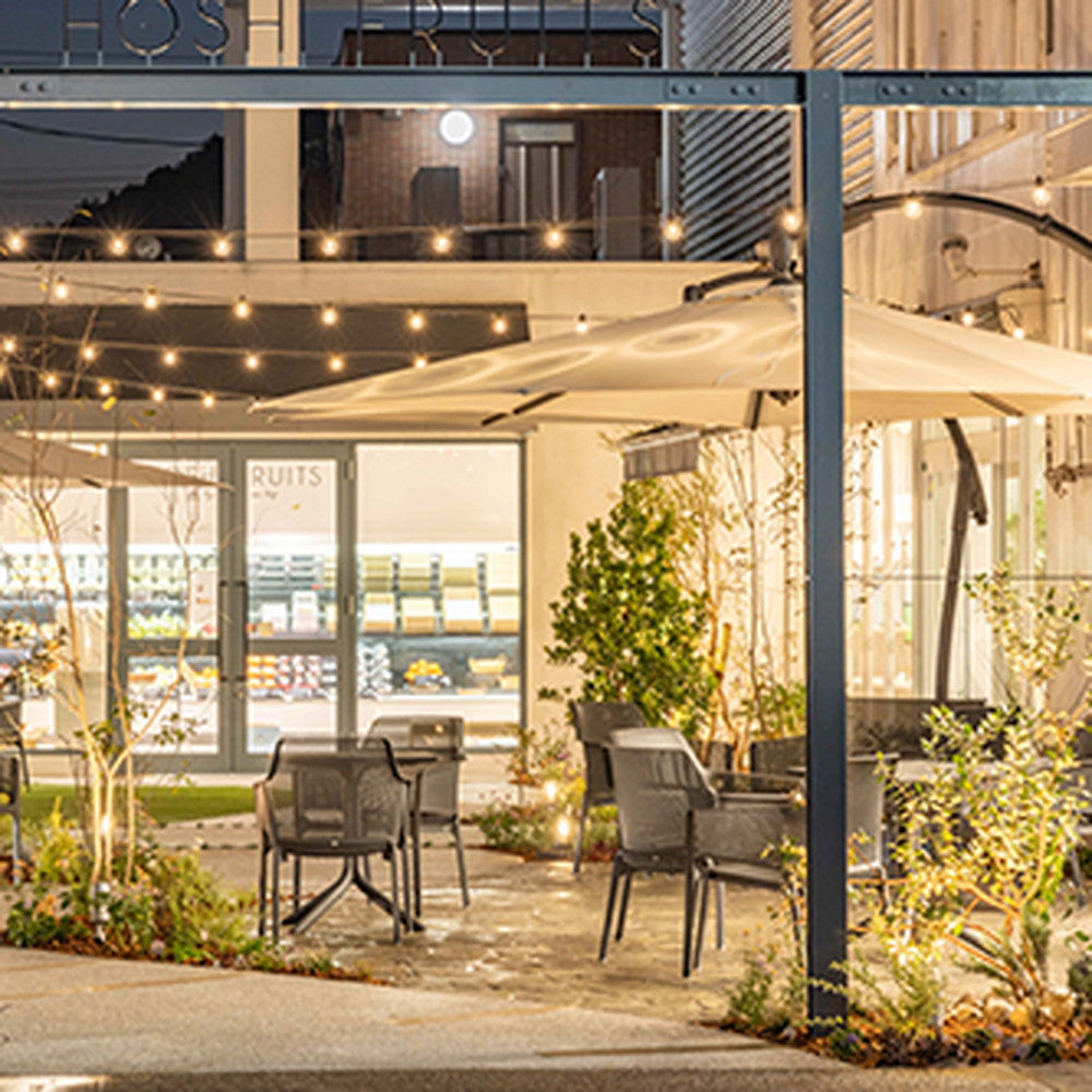 ホシフルーツ 贅沢フルーツのタルト