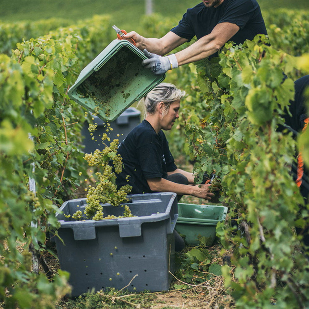 モエ・エ・シャンドン モエ・アンペリアル 200ml 2本