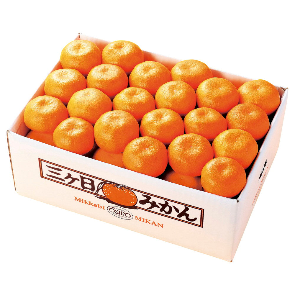 三ヶ日みかん(10kg)