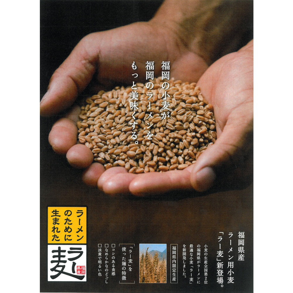 博多ラー麦とんこつラーメン3食セット