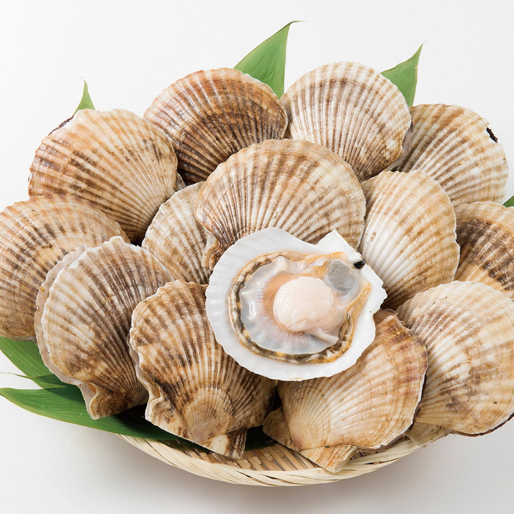 北海道野付産　活ホタテ(3.5kg)