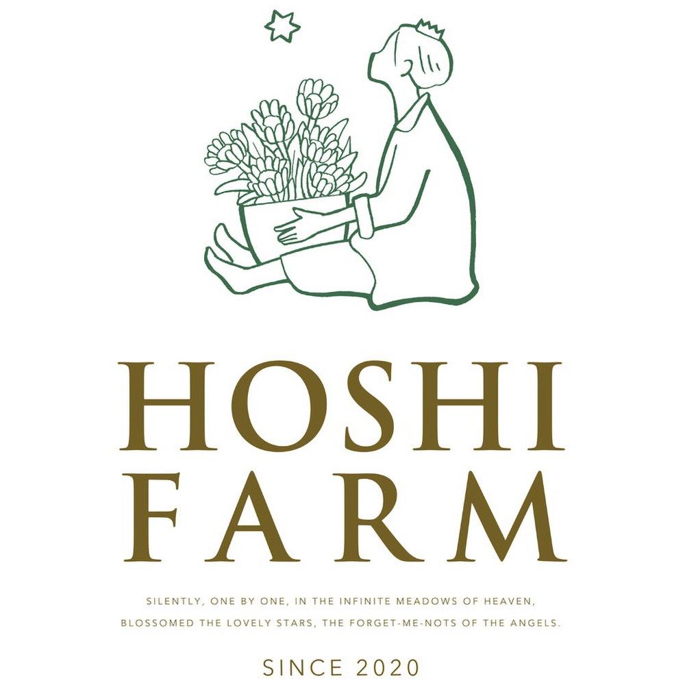 ホシファーム 届いた姿でそのまま飾れるスタンディング薔薇ブーケ ピュア12本