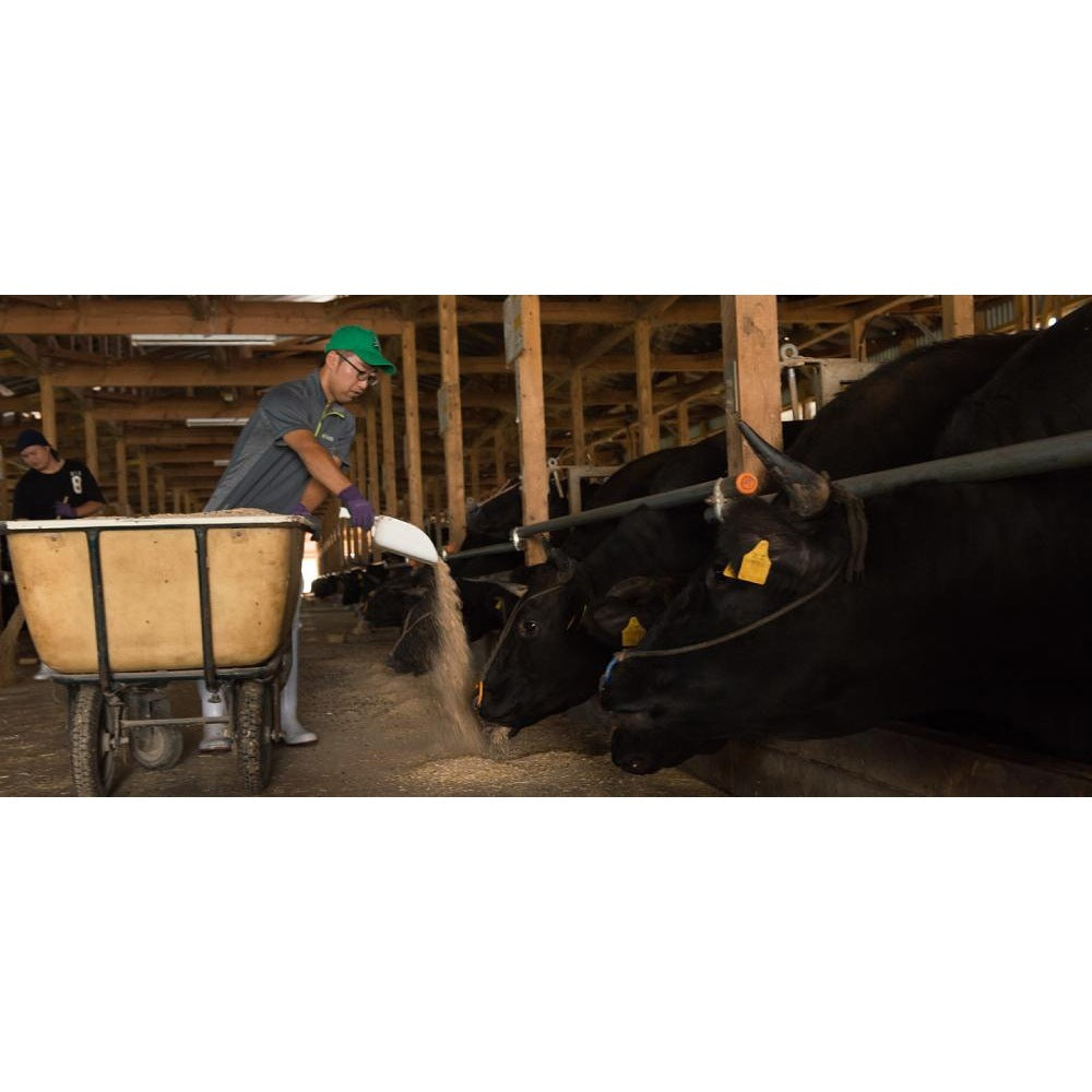 山形　創業大正12年「米沢牛 黄木」　米沢牛入りハンバーグセット(6個)