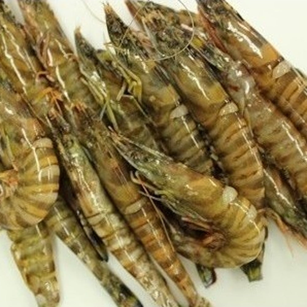 活黒 車海老(400g×2)