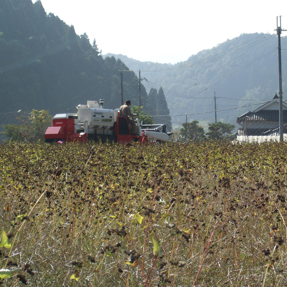半なま　京蕎麦　味くらべセット (半生蕎麦2種 計6人前)
