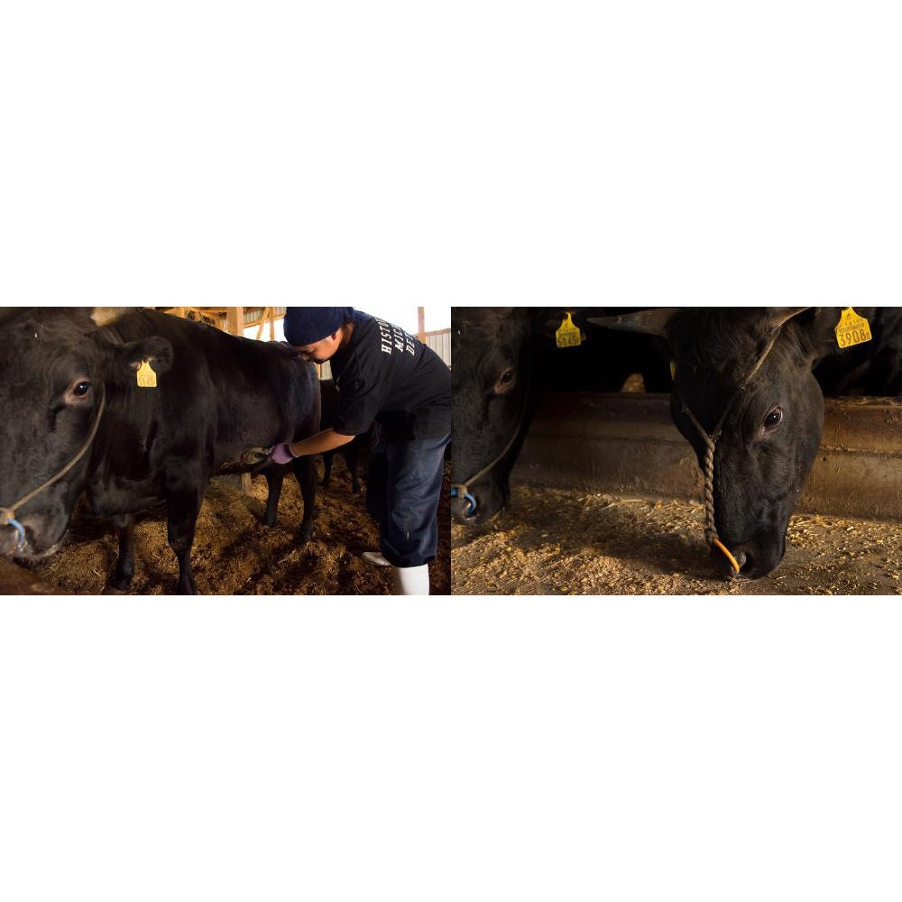 山形　創業大正12年「米沢牛 黄木」　米沢牛入りハンバーグセット(6個)