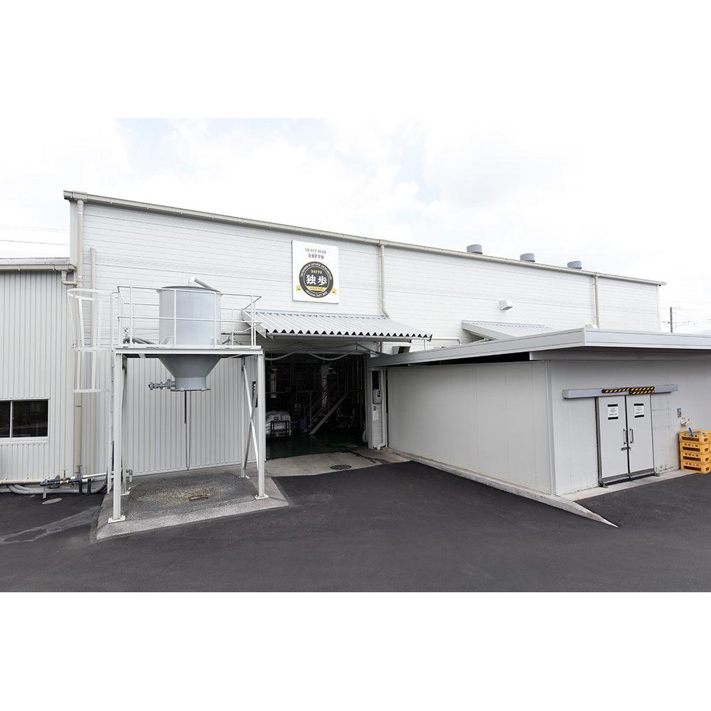 家飲みカクテル (ジントニック・ウォッカレモンサワー・愛南ゴールドサワー) 6本セット