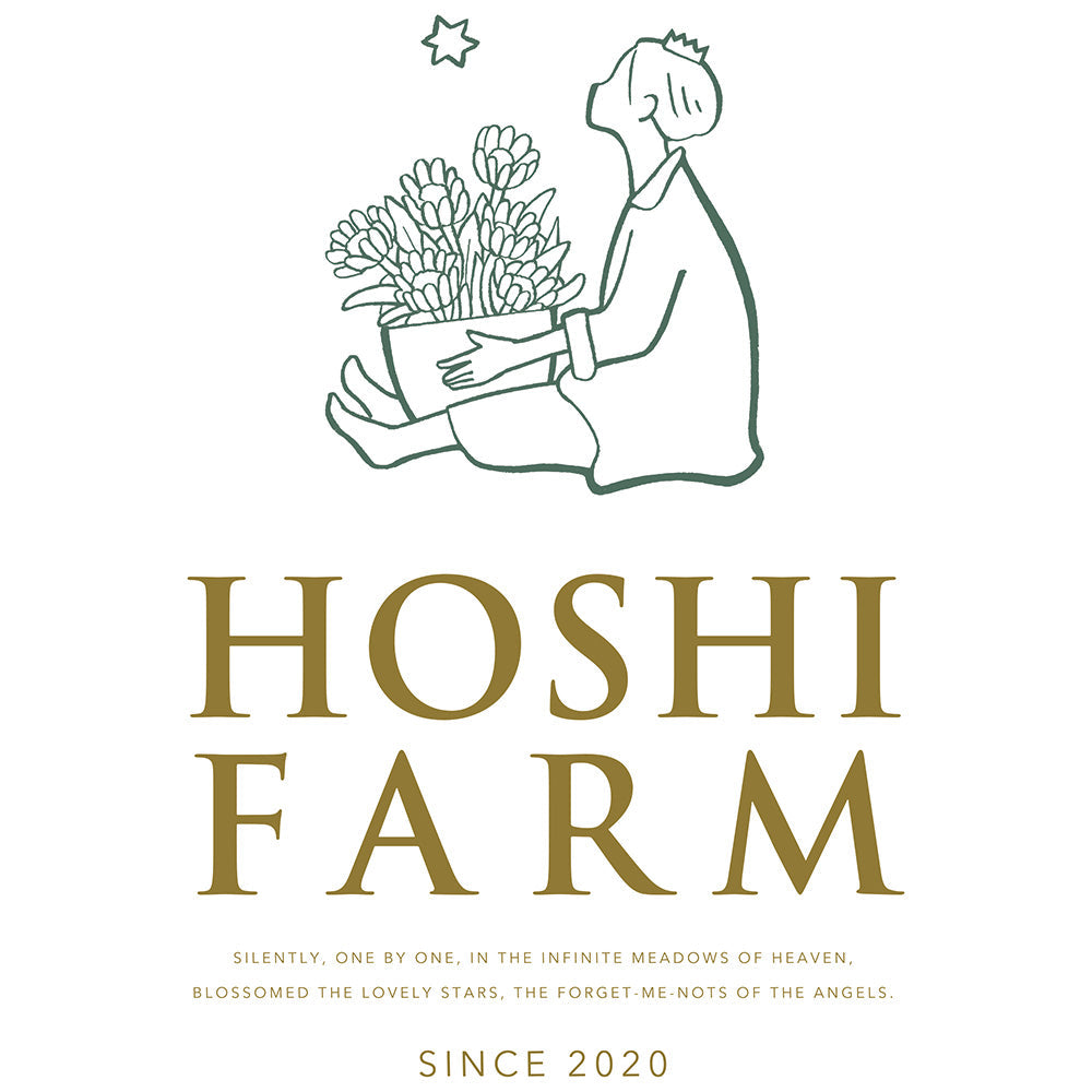 ホシファーム フリルブーケ(スイート8本)&ホシフルーツ 贅沢ブラウニー