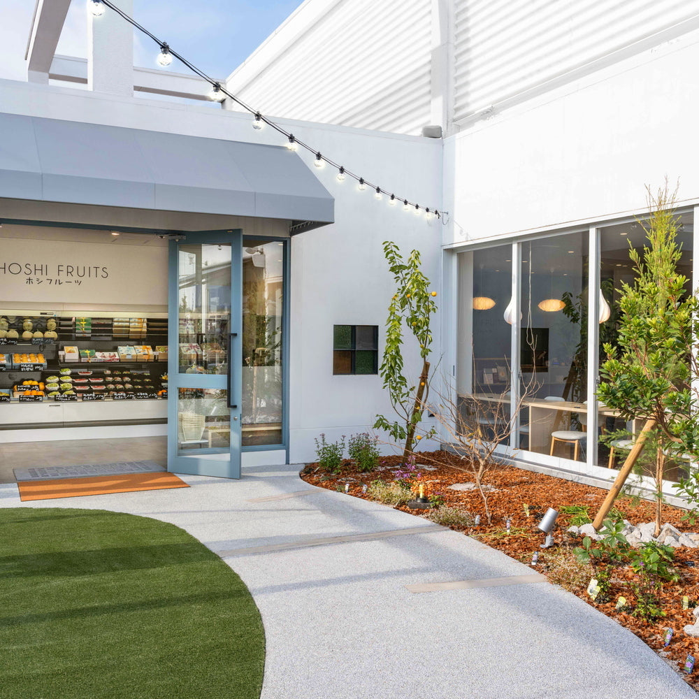 ホシフルーツ　あまおうのクリームいちご大福　fuwaru　8個