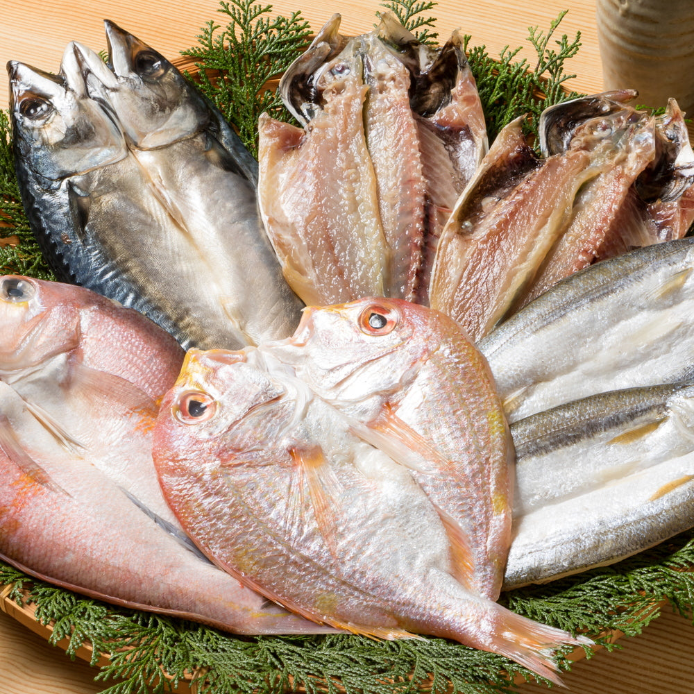 九州近海で水揚げされた海鮮　一汐開きセット