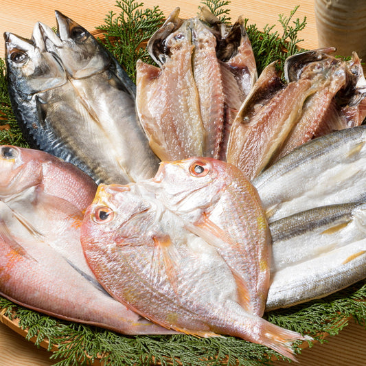 九州近海で水揚げされた海鮮　一汐開きセット
