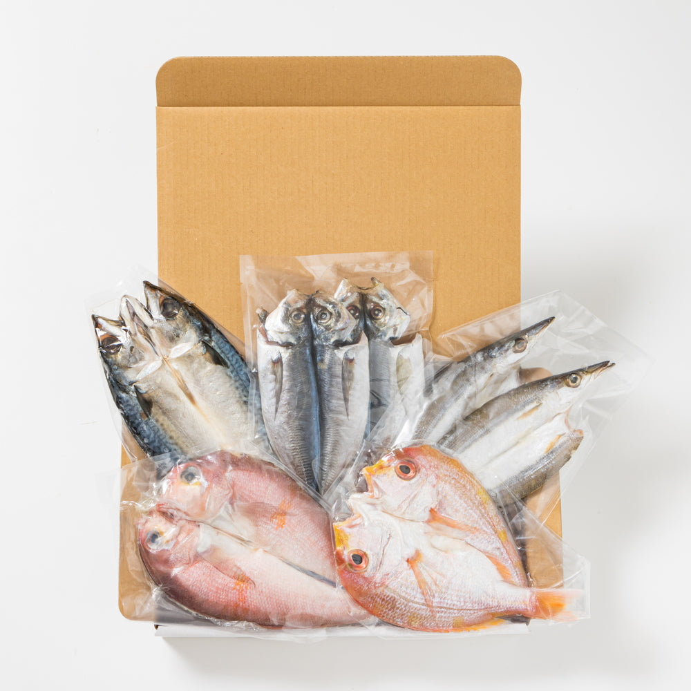 九州近海で水揚げされた海鮮　一汐開きセット