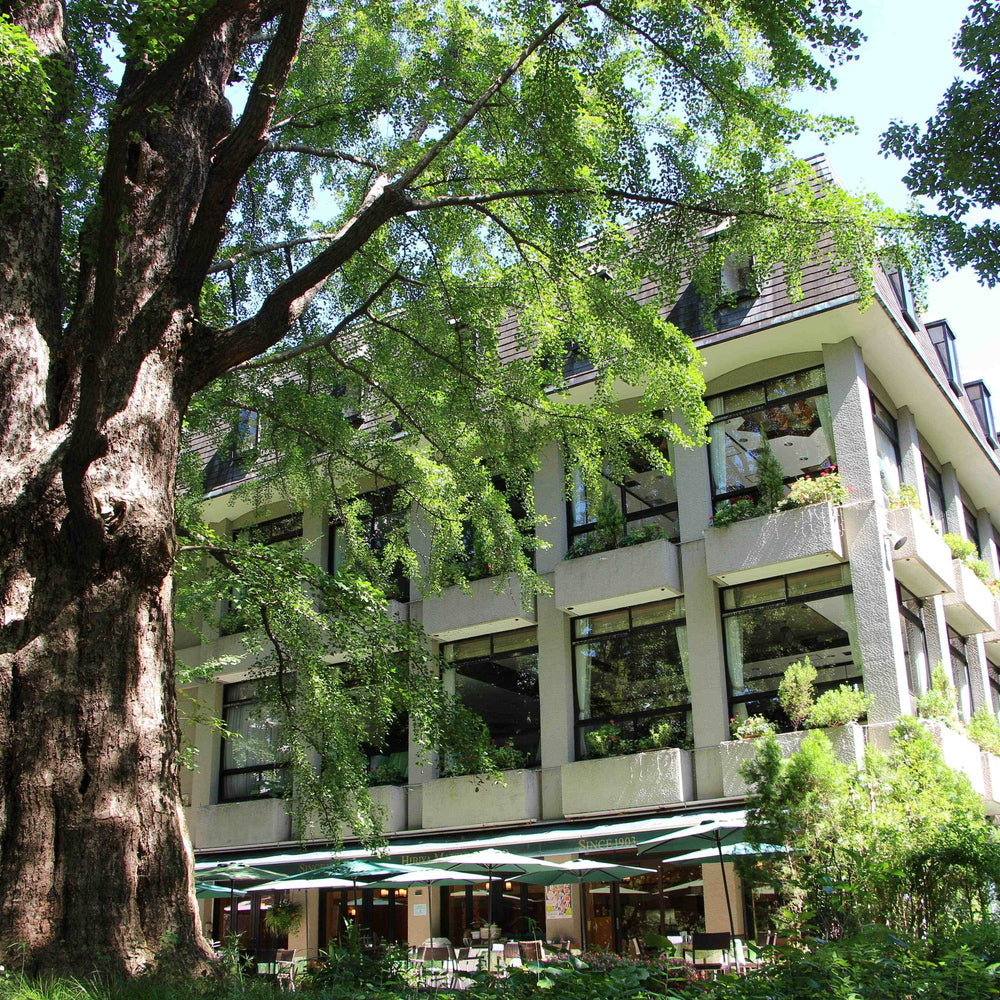 明治36年創業 「日比谷松本楼」 スープ6種食べ比べ