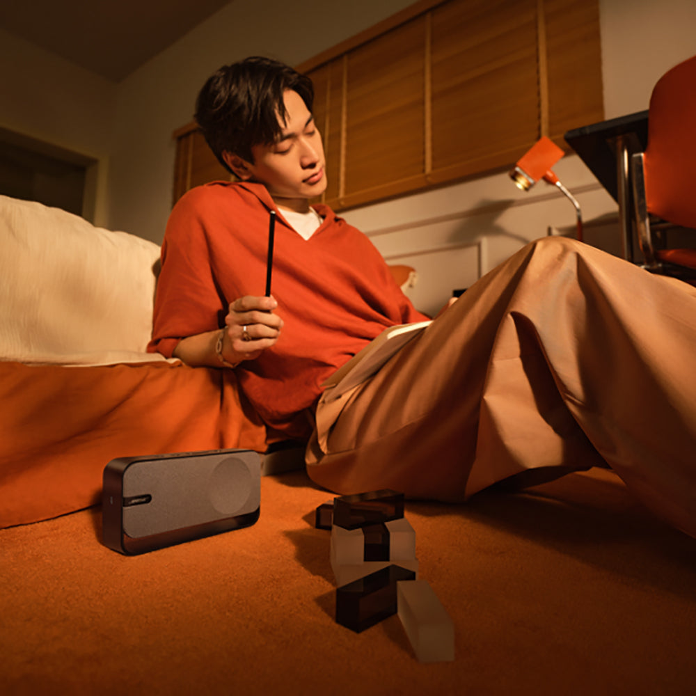 BOSE（ボーズ）SoundLink Home Bluetooth Speaker（クールグレー）
