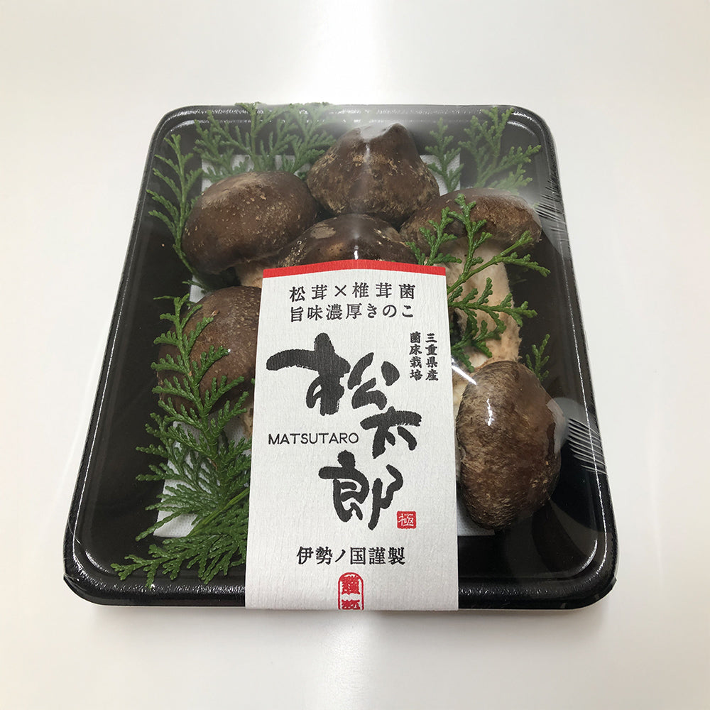 伊勢の国　松茸×椎茸菌 芳醇きのこ　松太郎 150g