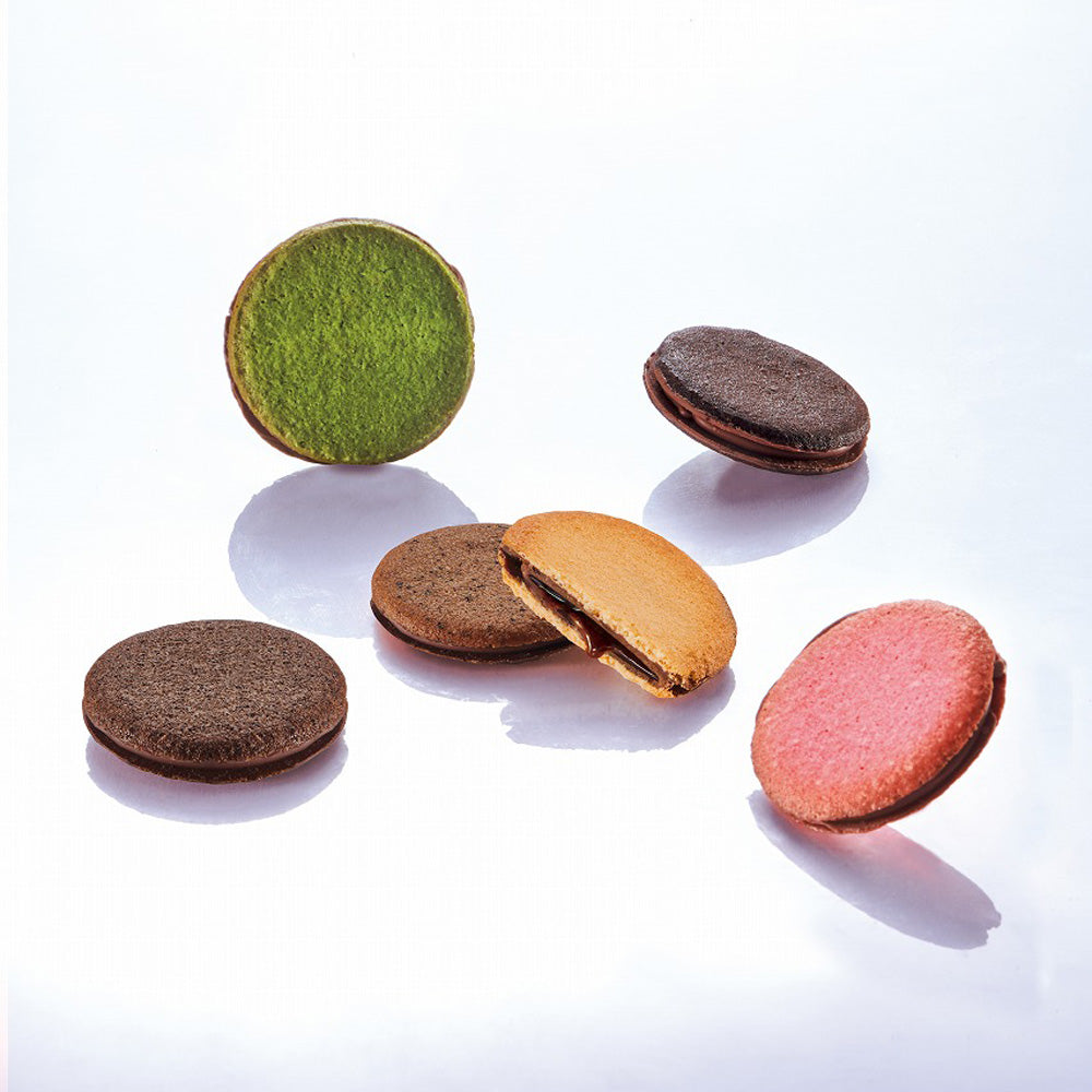 1802年パリ創業　ダロワイヨ　コフレ ユニヴェール トロワ