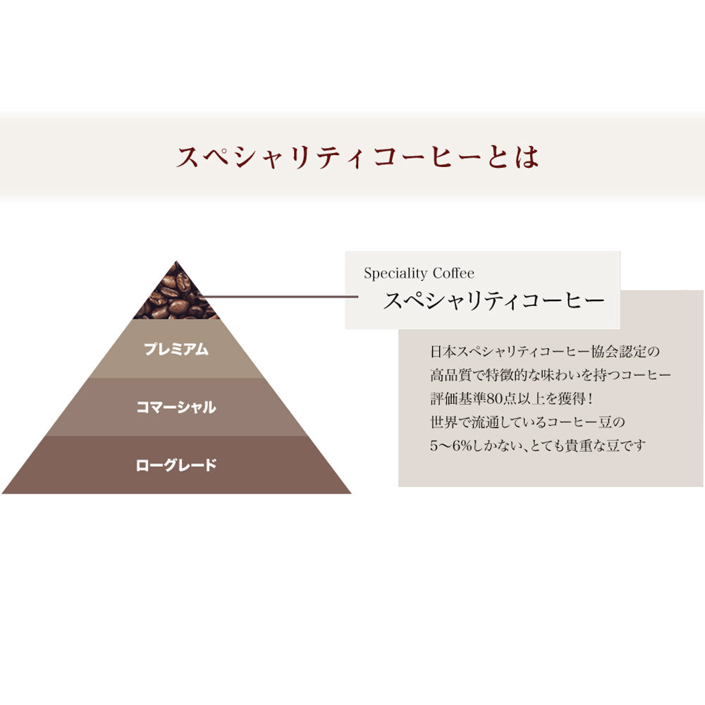 デカフェコーヒー専門　イノセントコーヒー　WAN coffeeドリップバッグセット 10pc