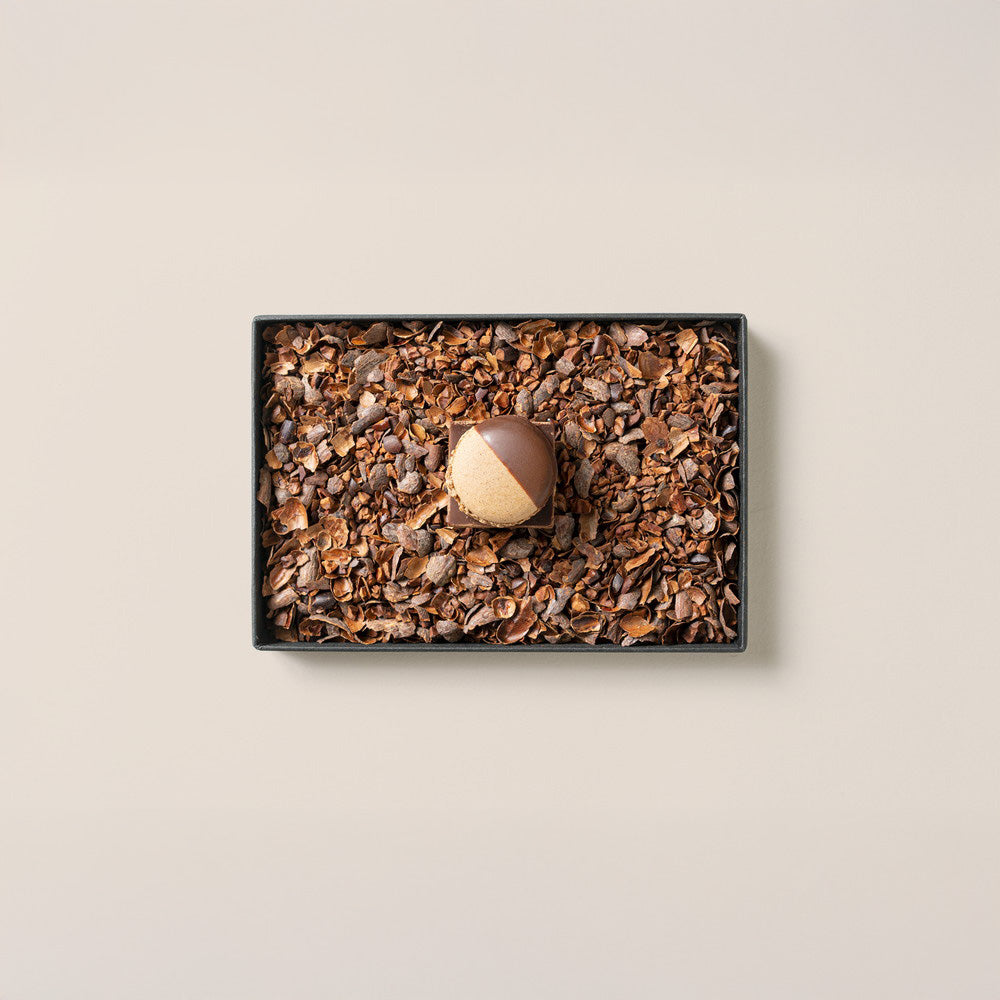 MAMEIL NAMA CHOCOLATE MACARON（生チョコレートマカロン）‑Chocolate‑6個