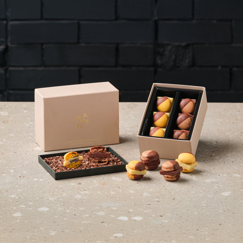 MAMEIL NAMA CHOCOLATE MACARON（生チョコレートマカロン）‑Choco＆Creme brulee‑計6個