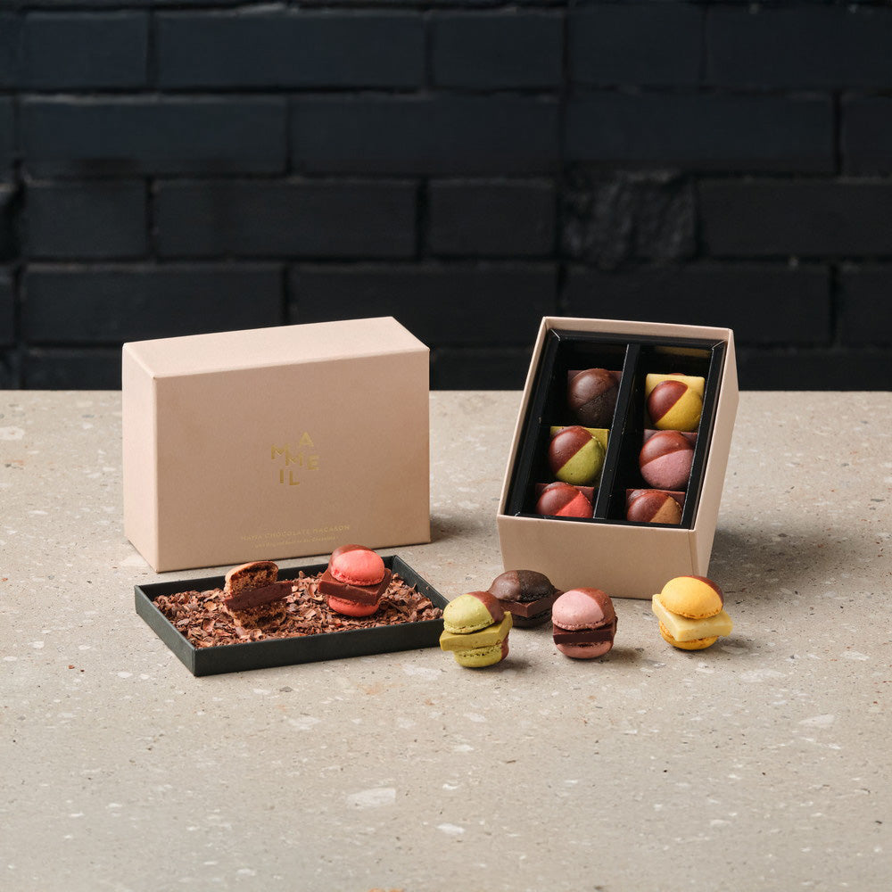 MAMEIL NAMA CHOCOLATE MACARON（生チョコレートマカロン）6種詰め合わせ計6個
