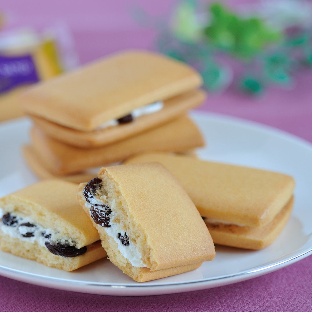 鉄人坂井宏行監修レーズンサンド詰め合わせ