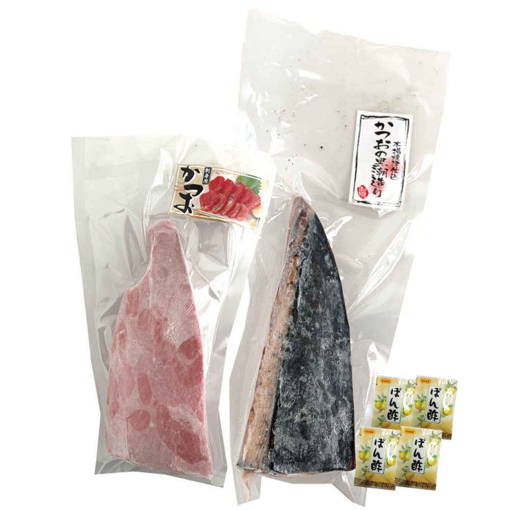 静岡　一本釣り鰹尽くし