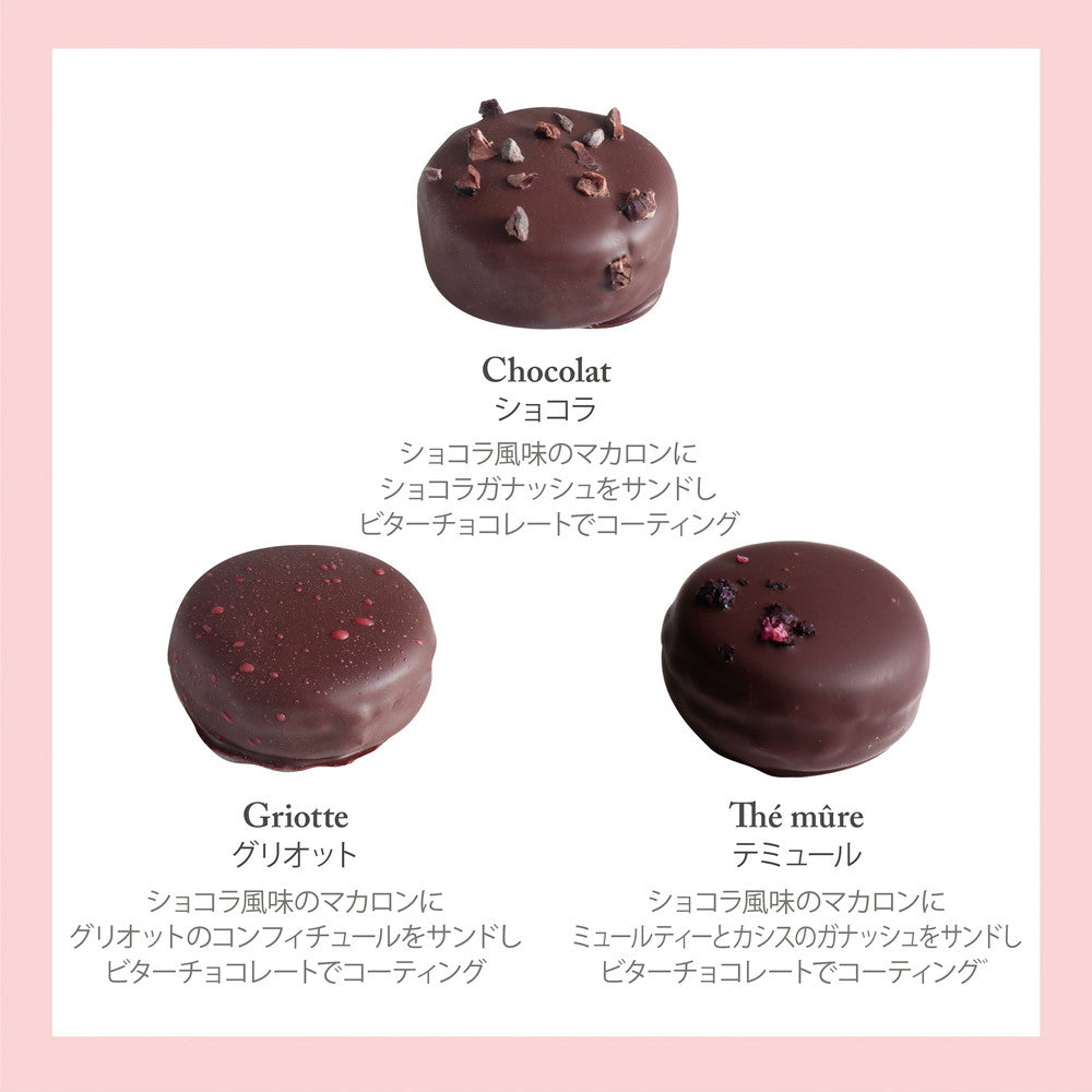 セバスチャン・ブイエ マカリヨン 6個