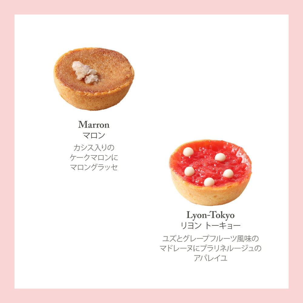 セバスチャン・ブイエ アソートバリエ M