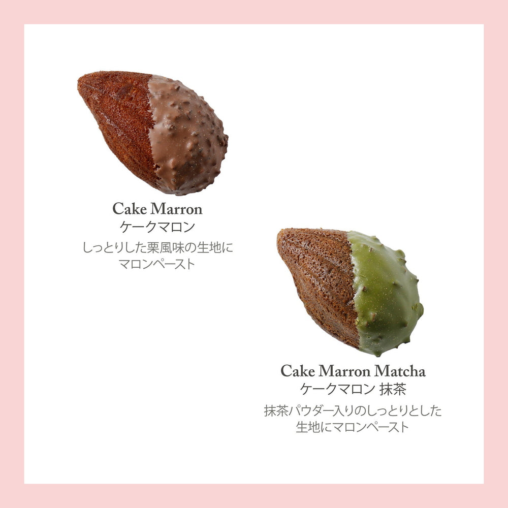 セバスチャン・ブイエ アソートバリエ M