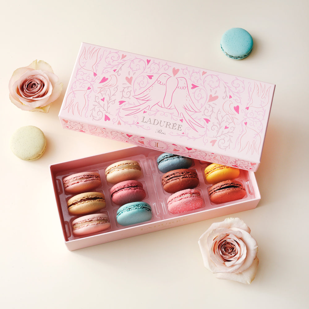 LADUREE（ラデュレ）プティ・コロンブ マカロン12個入り