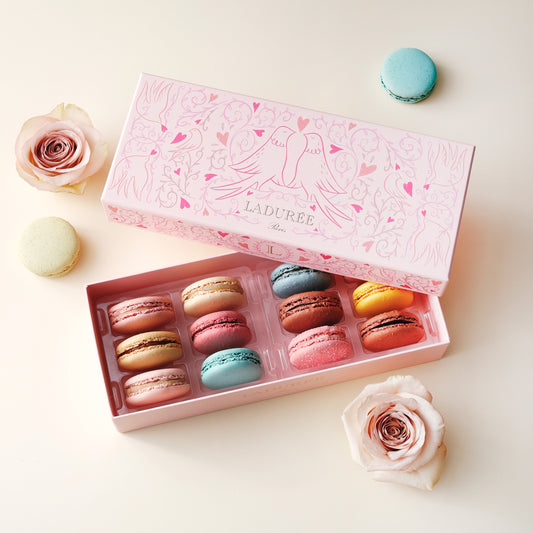 LADUREE（ラデュレ）プティ・コロンブ マカロン12個入り