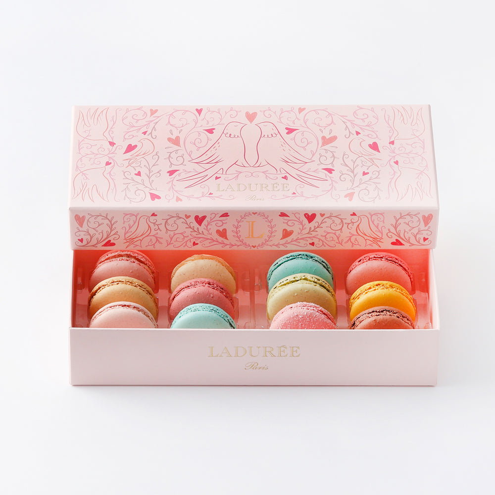 LADUREE（ラデュレ）プティ・コロンブ マカロン12個入り