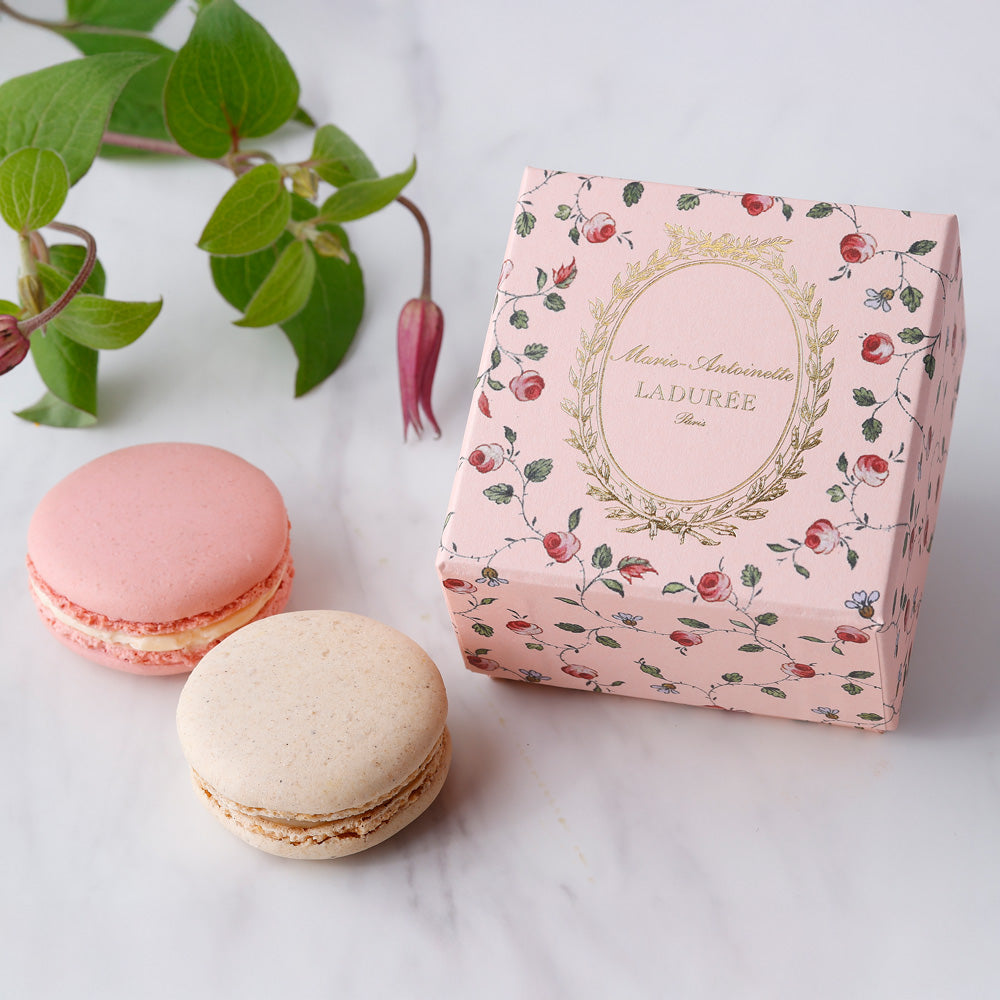 LADUREE（ラデュレ）マリー・アントワネット