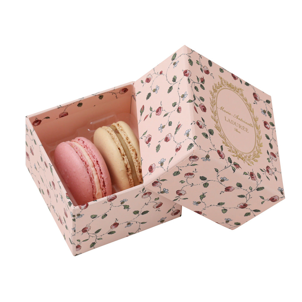 LADUREE（ラデュレ）マリー・アントワネット