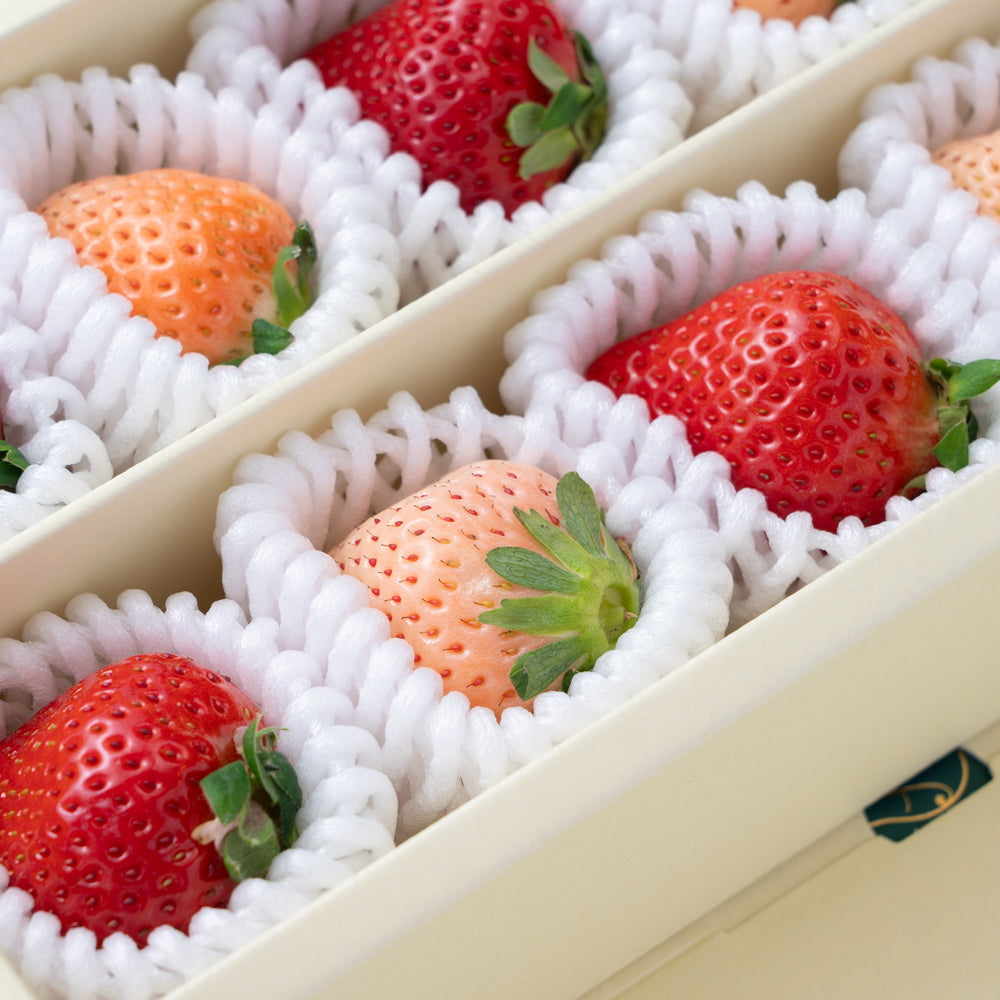 【クリスマス限定】フルーツ専門店「南国フルーツ」がセレクト 紅白苺10粒ギフト