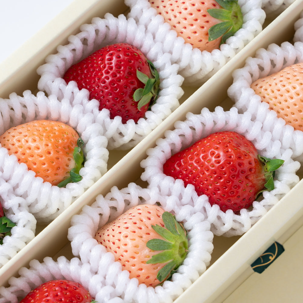 【クリスマス限定】フルーツ専門店「南国フルーツ」がセレクト 紅白苺10粒ギフト