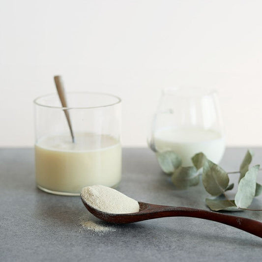 ME/NU WOMAN'S BASE　デザートプロテイン レモンクリームパイ味 大袋 300g