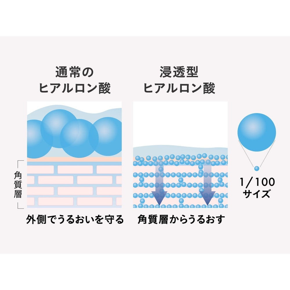 食べられるバラ農園 ROSE LABO 24ROSE ローズシャンプー