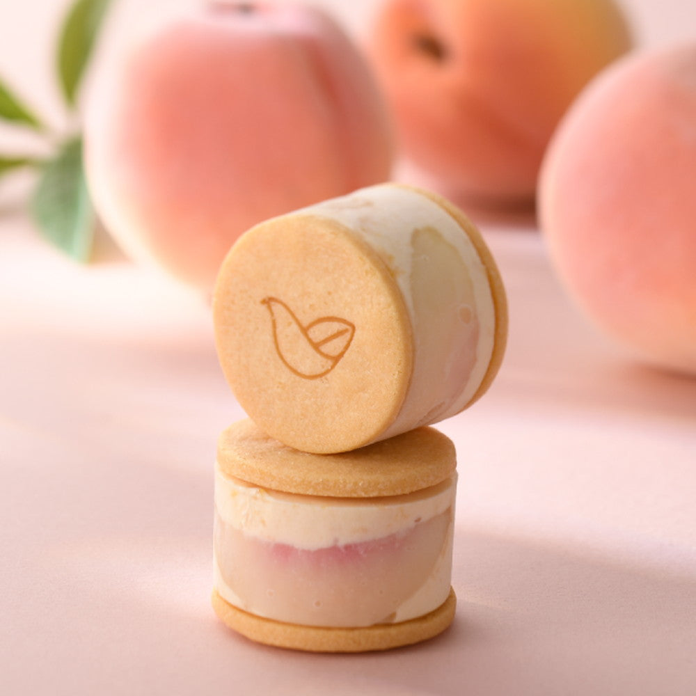 京都チーズケーキ専門店 ソラアオ　アイスチーズケーキサンド 3種計6個【3箱】