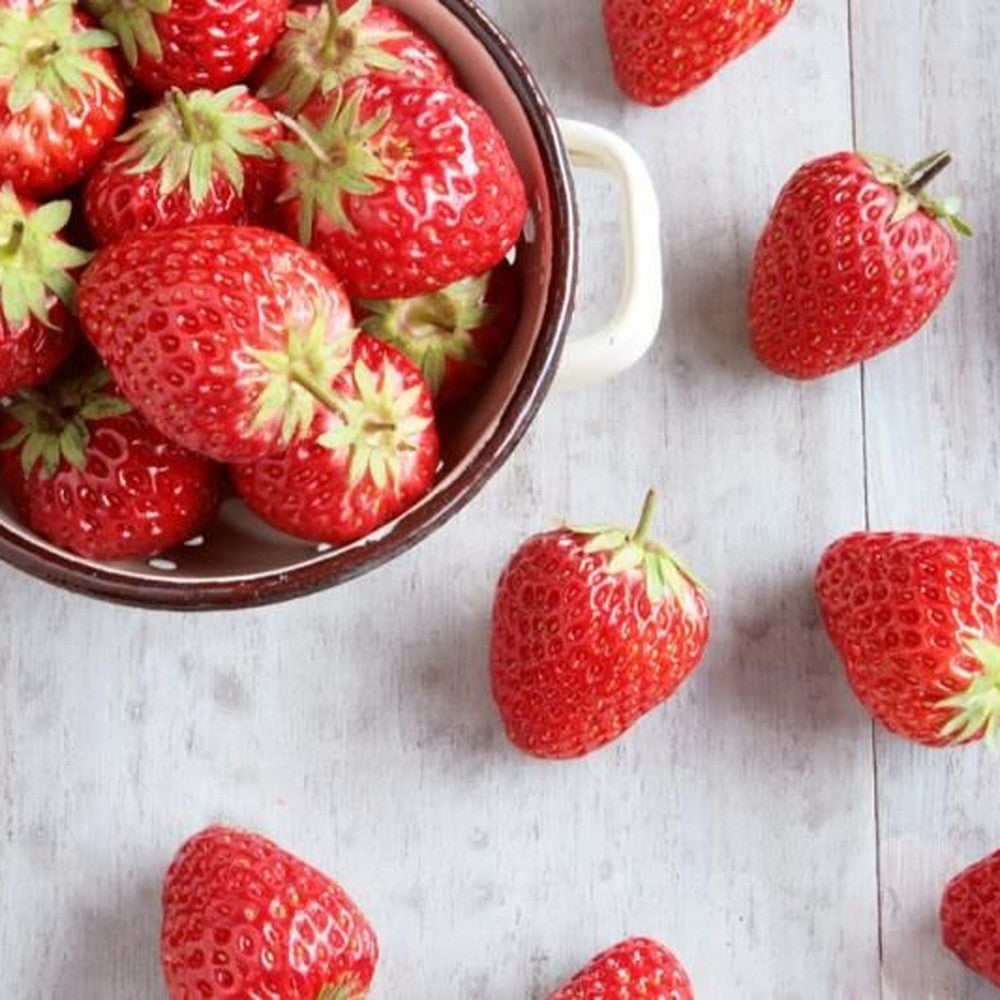 京都チーズケーキ専門店 ソラアオ　キューブおすすめ4種食べ比べセット