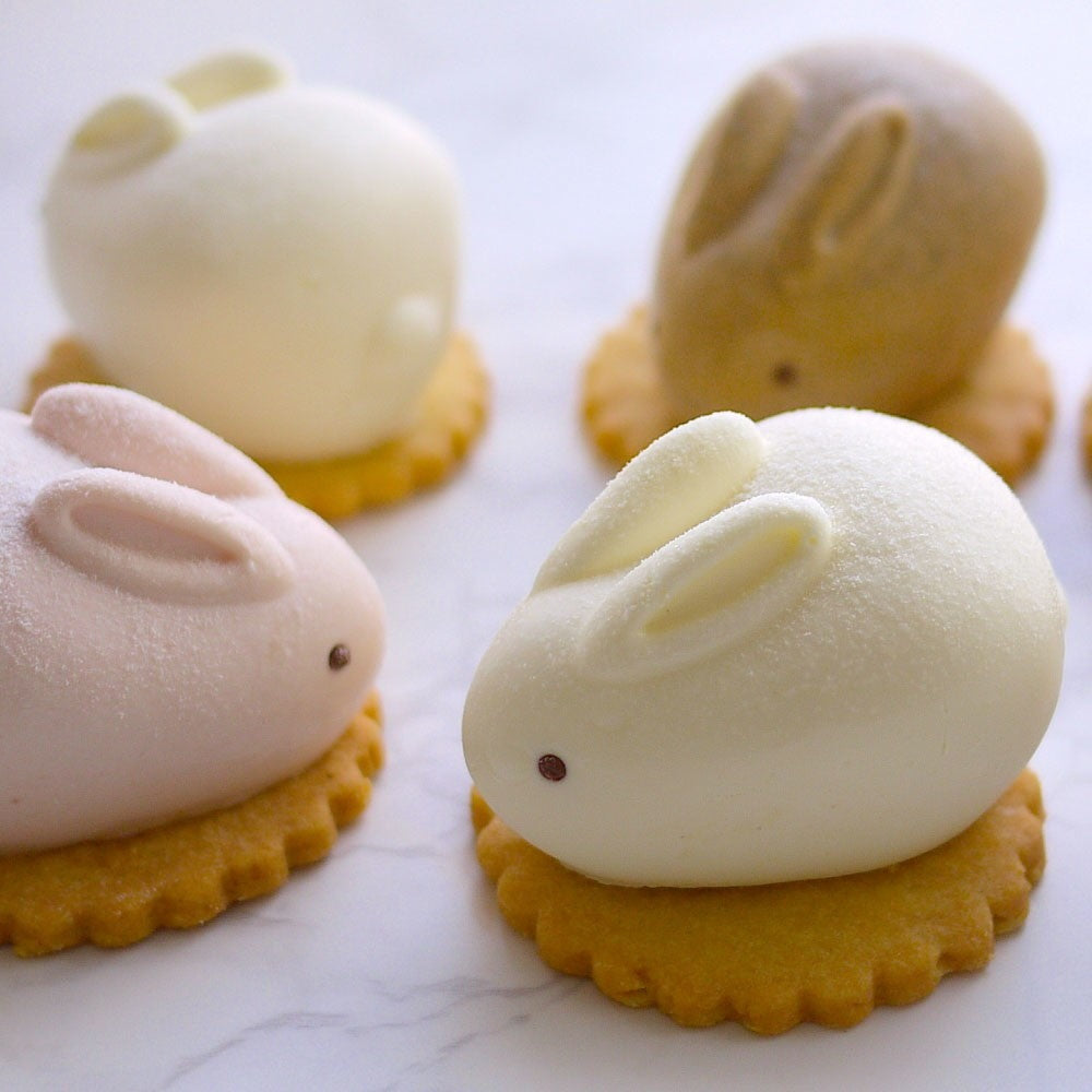 MOTCH うさもっち 6個ボックス