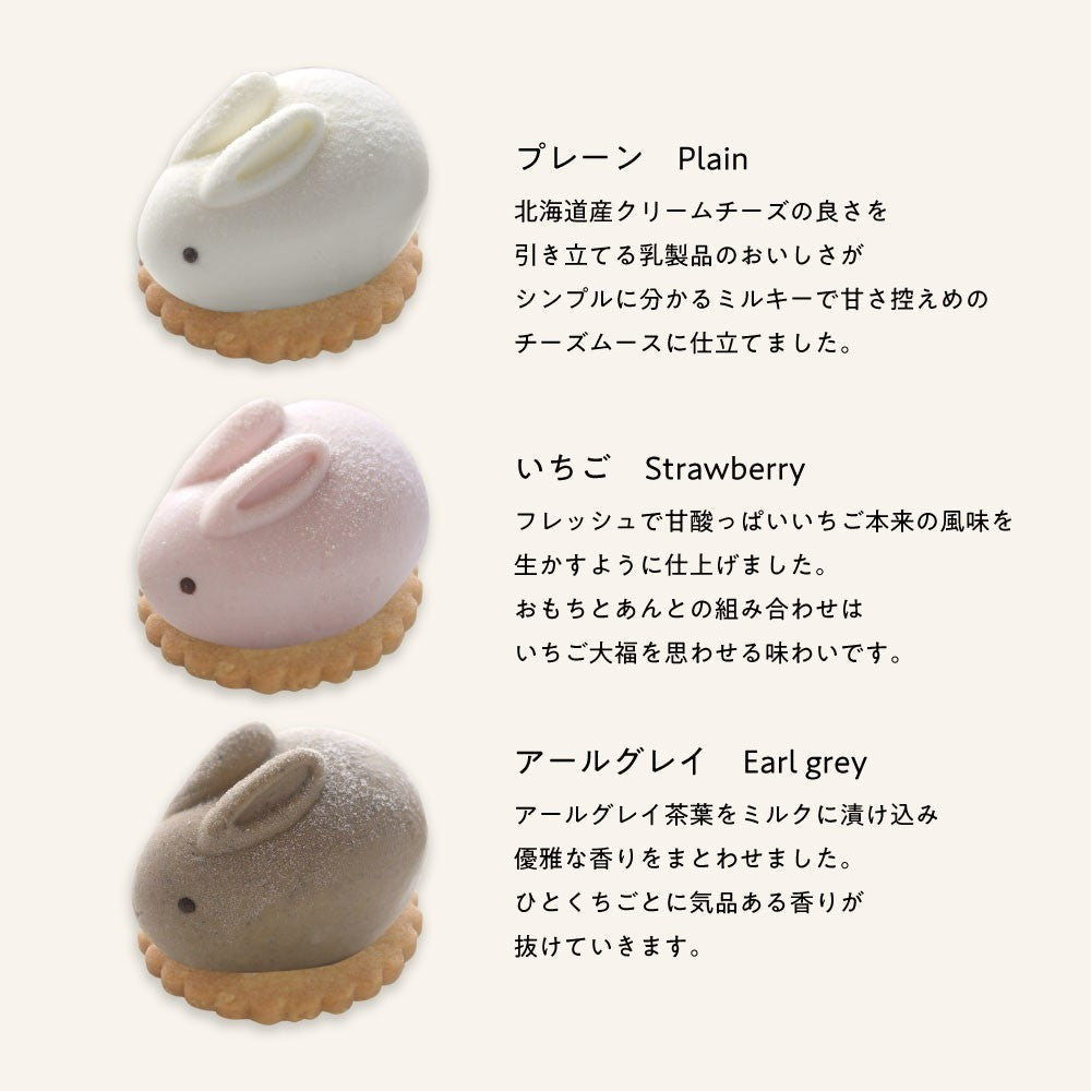 MOTCH うさもっち 6個ボックス