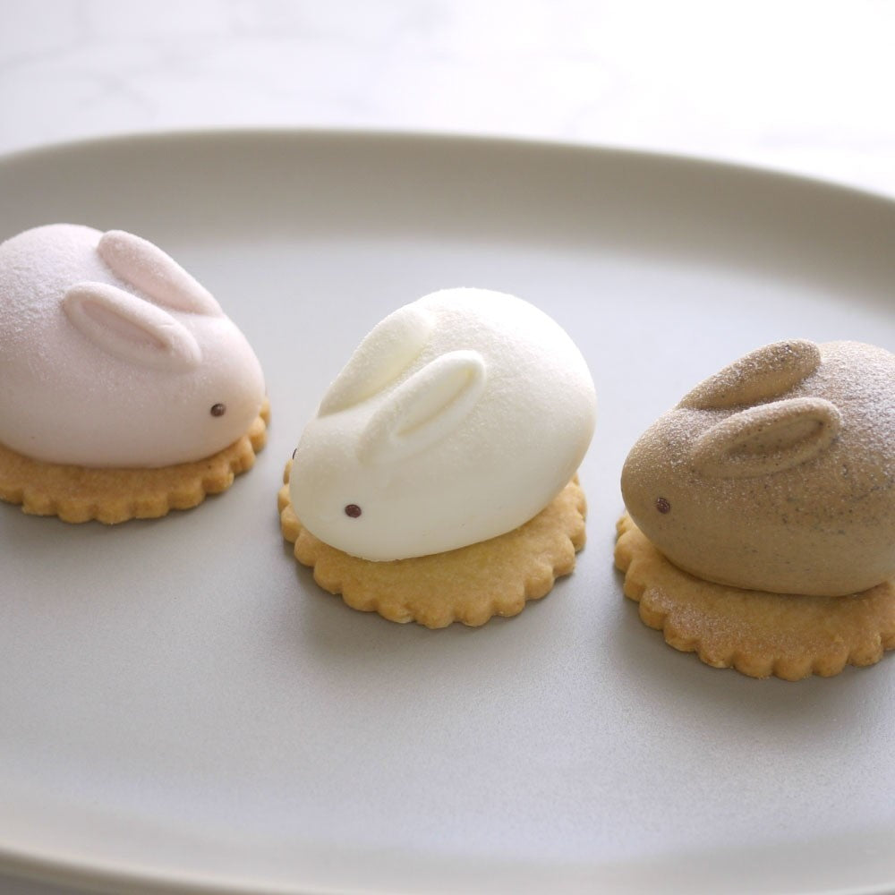 MOTCH うさもっち 6個ボックス