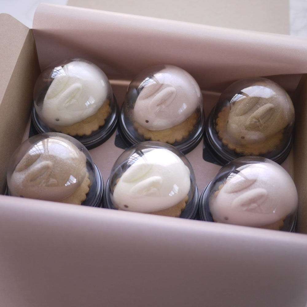 MOTCH うさもっち 6個ボックス