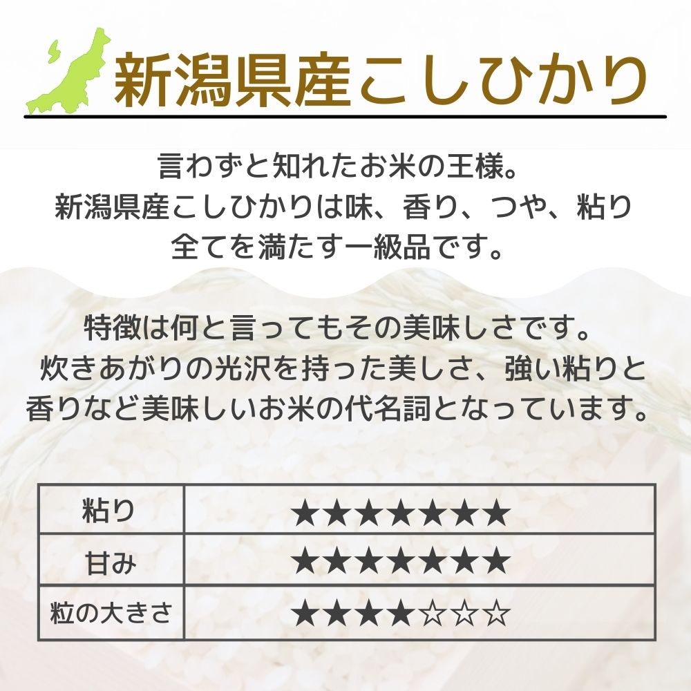 五つ星マイスター厳選・新潟こしひかり・天然塩味わいギフトセット（15合・天然塩セット）