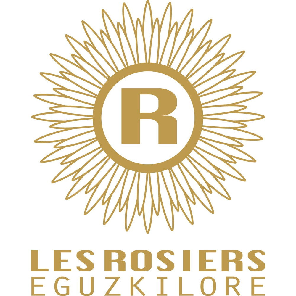 銀座京橋 レ ロジェ エギュスキロール アイス(11個)