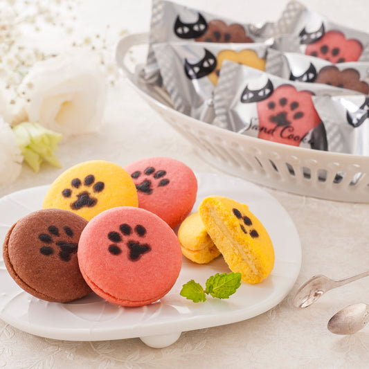 イーペルの猫祭り　サンドクッキー