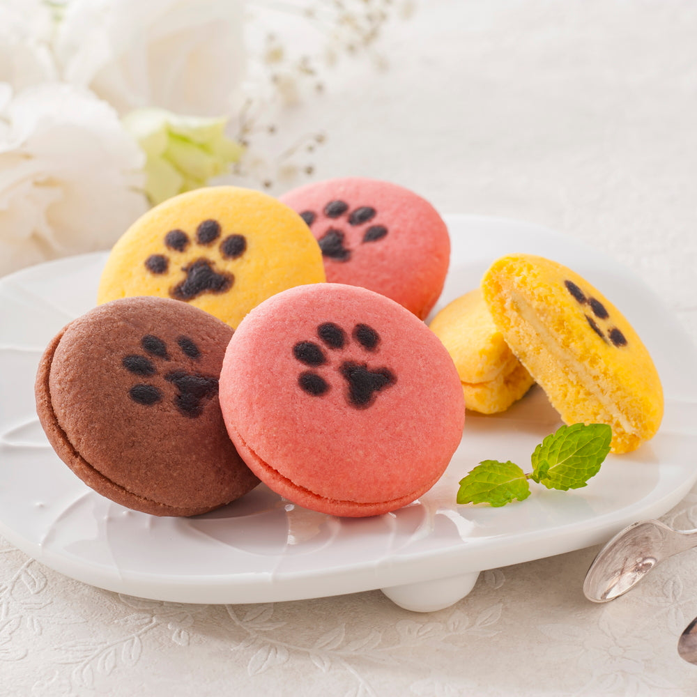 イーペルの猫祭り　サンドクッキー