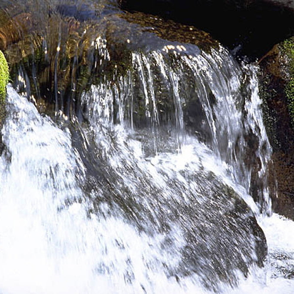 FUJI PREMIUM BREWING　 ラガー・エール飲み比べセット(2本)