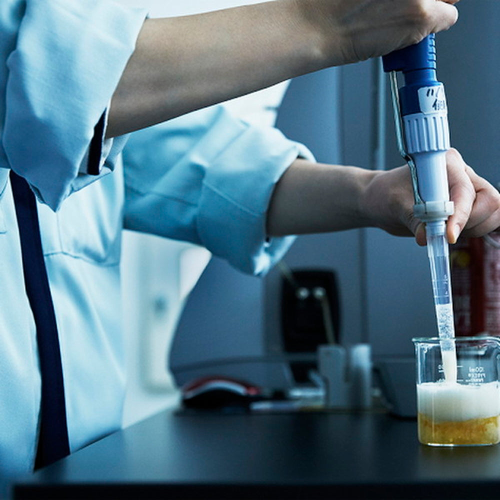 FUJI PREMIUM BREWING　 ラガー・エール飲み比べセット(2本)